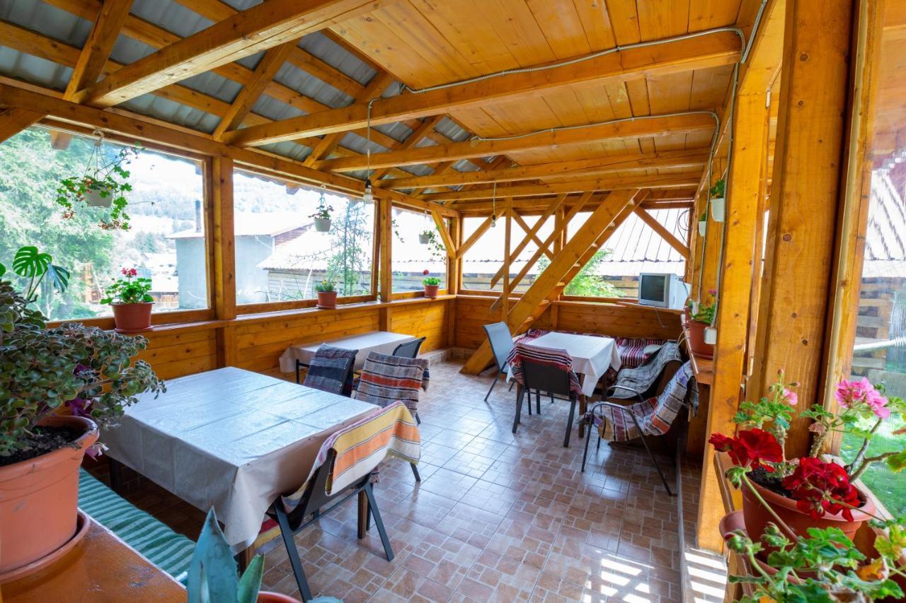 Pensiunea Viorica Arieşeni Exterior foto