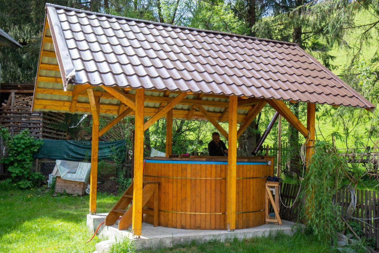 Pensiunea Viorica Arieşeni Exterior foto