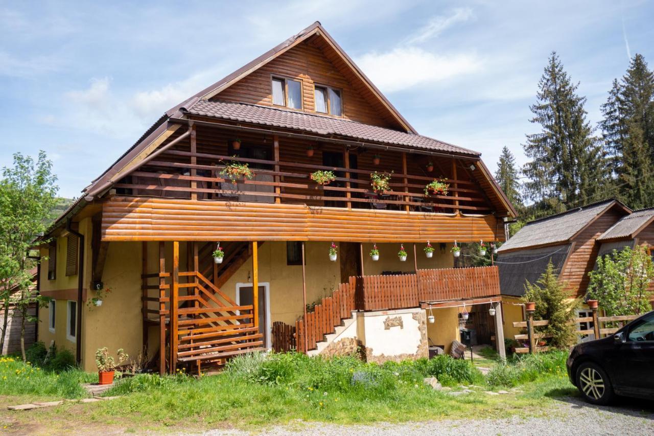 Pensiunea Viorica Arieşeni Exterior foto