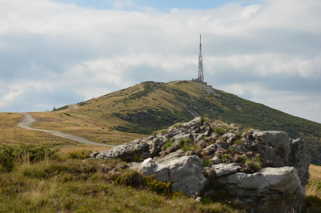 Pensiunea Viorica Arieşeni Exterior foto