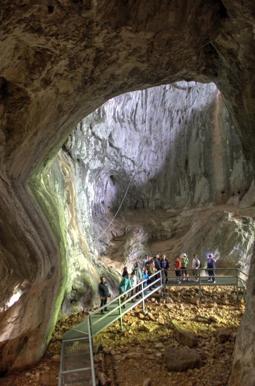 Pensiunea Viorica Arieşeni Exterior foto